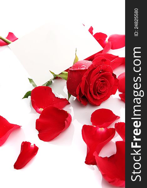 Beautiful red rose petals with blank paper on the white background