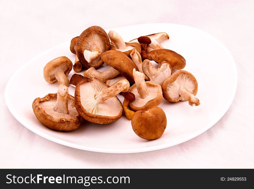 Mushrooms mix on the white plate. Mushrooms mix on the white plate