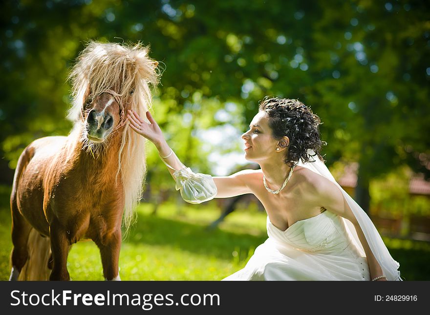 Bride and ponies in park .play with ponies