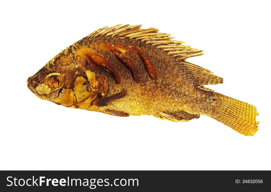 Fried fish isolated in white background