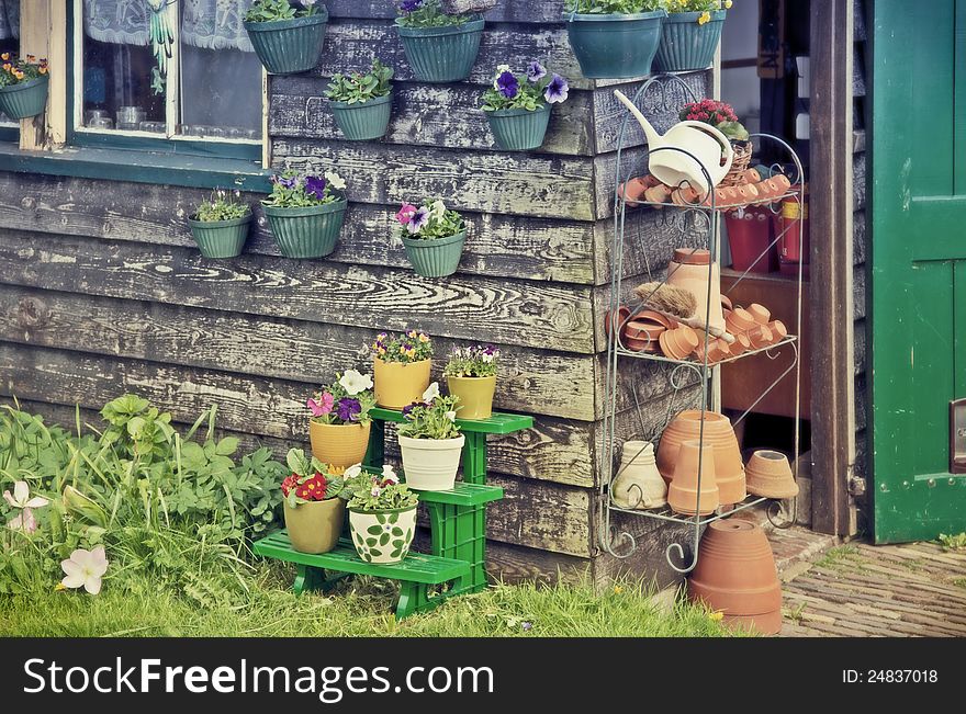 Home flowers pots