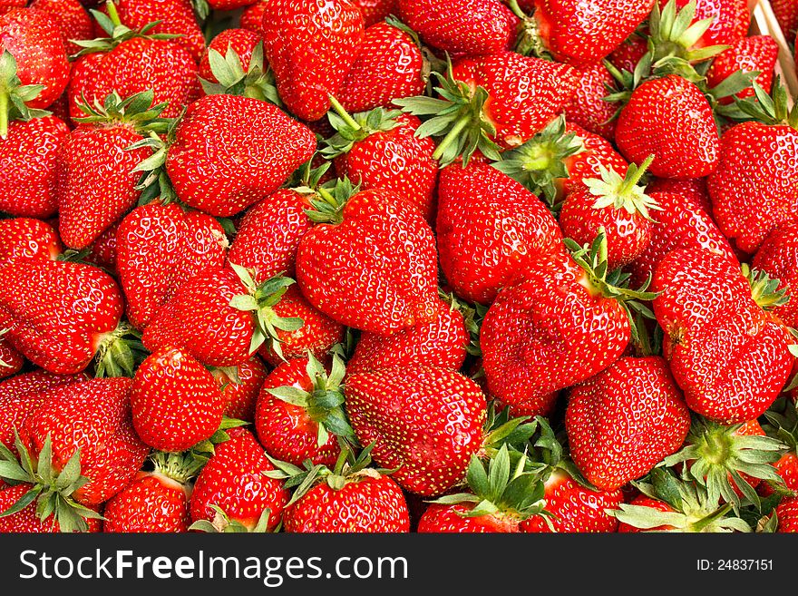 Fresh organic strawberries in May