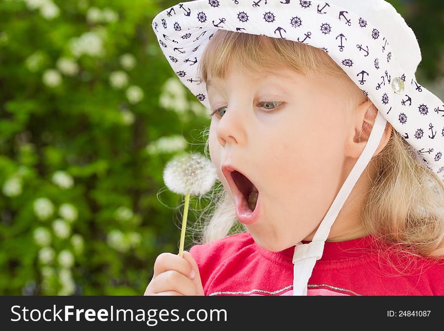 Young girl blowing dandelion at summer. Young girl blowing dandelion at summer