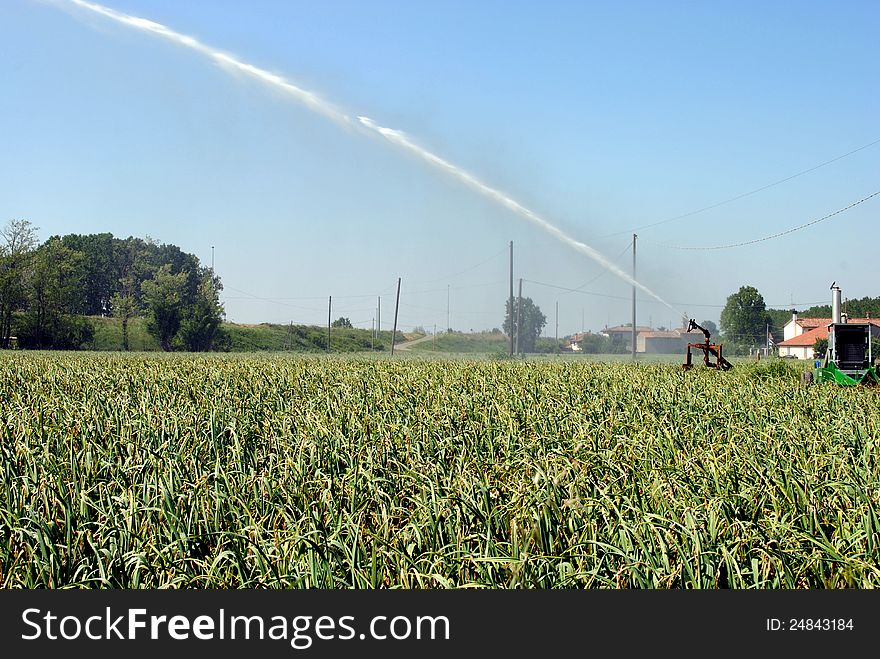 Pump jet watering a cultivated field in farmlands