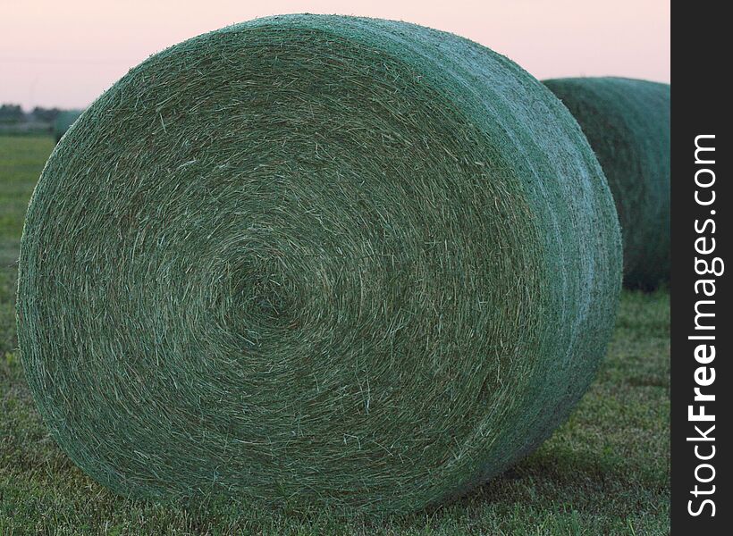 Freshly baled large round green hay bales on grass next to road way on grass in rural, Iowa. Photographed in Spring at sunset. Freshly baled large round green hay bales on grass next to road way on grass in rural, Iowa. Photographed in Spring at sunset.