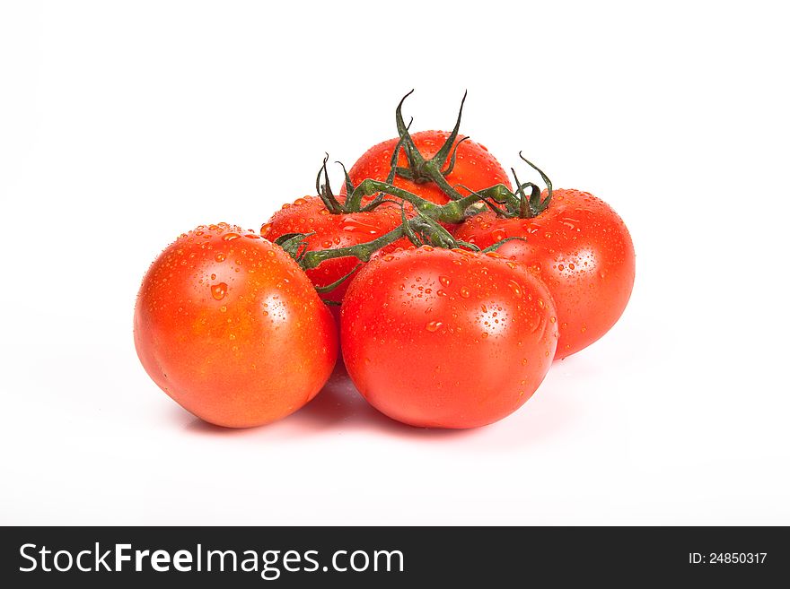 Tomatoes with water drops isolated on a white. Tomatoes with water drops isolated on a white