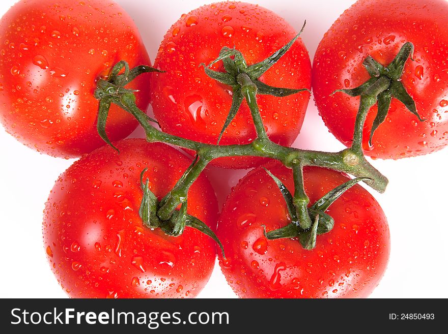 Tomatoes with water drops isolated on a white. Tomatoes with water drops isolated on a white