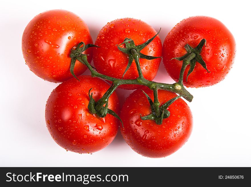 Tomatoes with water drops isolated on a white. Tomatoes with water drops isolated on a white