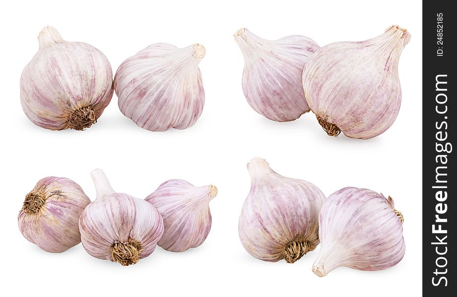 Set of purple garlics