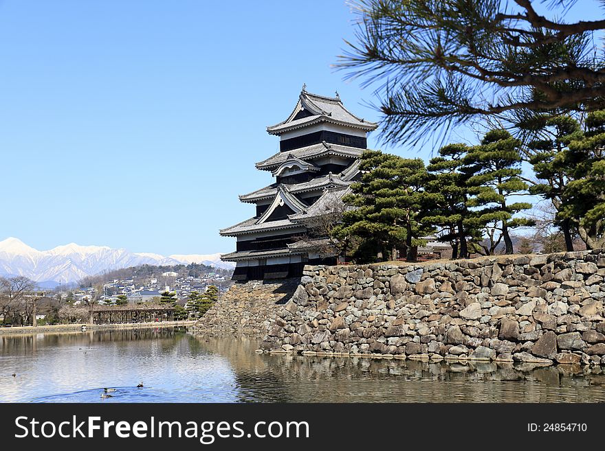 South East view of Matsumoto castle with ornamental pine trees. South East view of Matsumoto castle with ornamental pine trees.