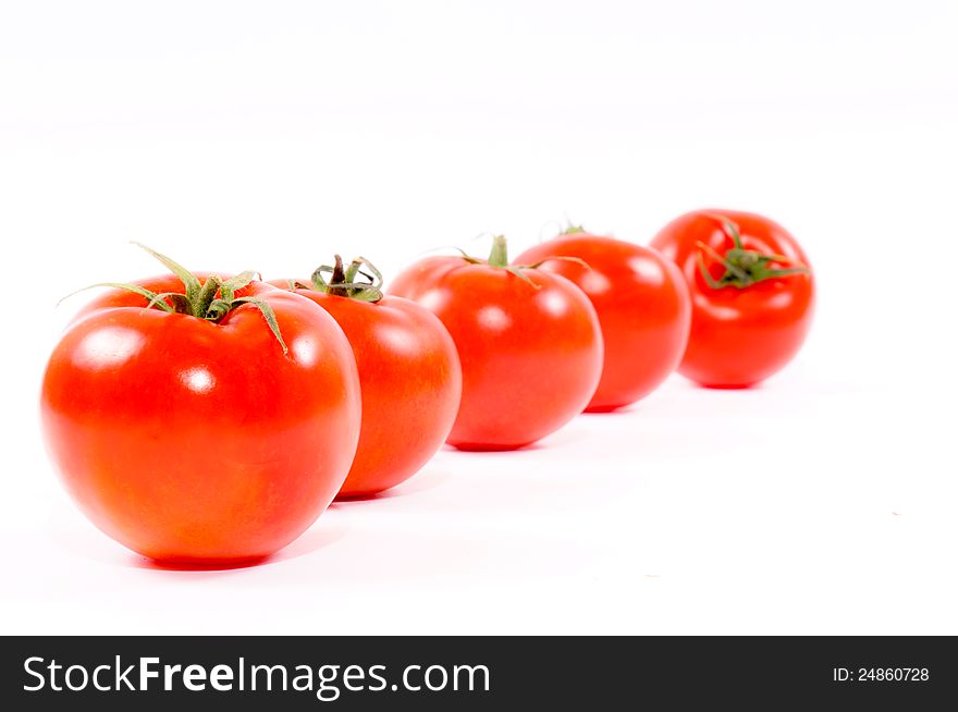 Tomatoes In Line