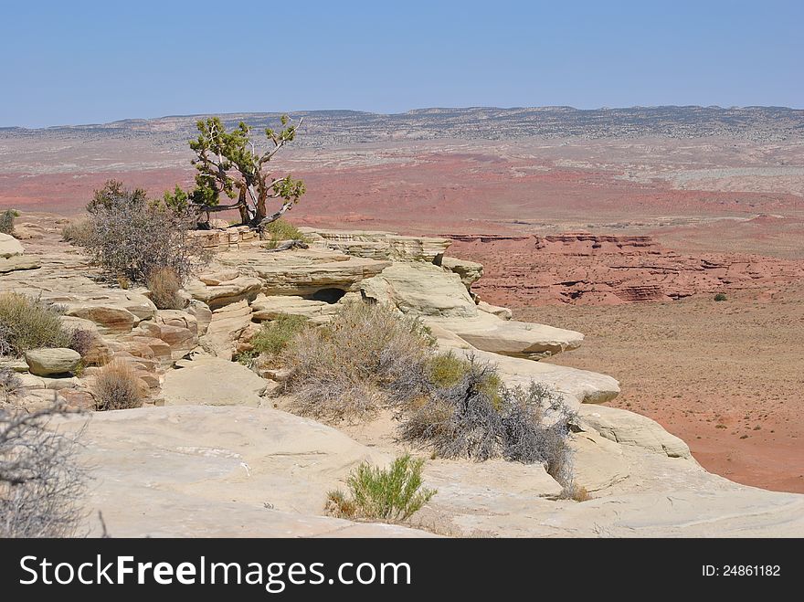Moab Desert