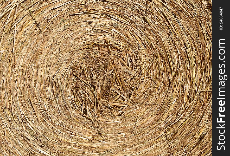 Details of a hay bale after harvesting
