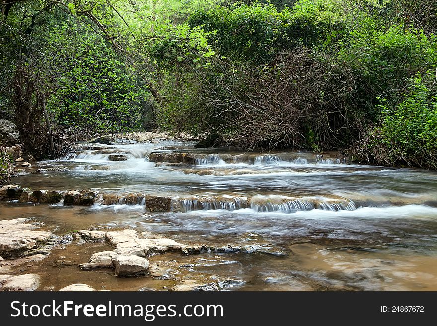 Summer forest landscape with small waterfall stream. Summer forest landscape with small waterfall stream.