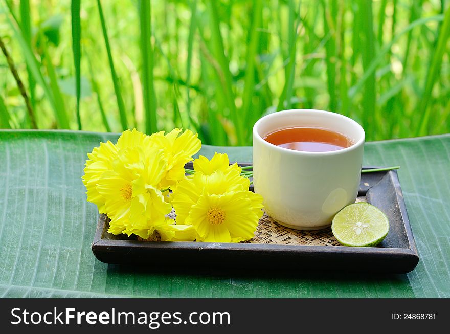 Aroma lemon tea with blossoms and green background at countryside
