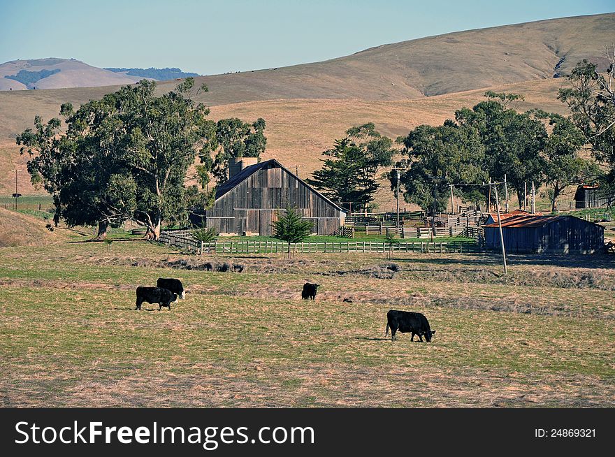 Farm along Highway 1 in California. Farm along Highway 1 in California