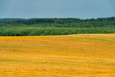Agro-industrial Complex For The Cultivation Of Cereals, Wheat, Rye, Corn And Barley. The Use Of Low-quality And Non-natural Fertil Stock Image Agro-industrial Complex For The Cultivation Of Cereals, Wheat, Rye, Corn And Barley. The Use Of Low-quality And Non-natural Fertil Stock Image
