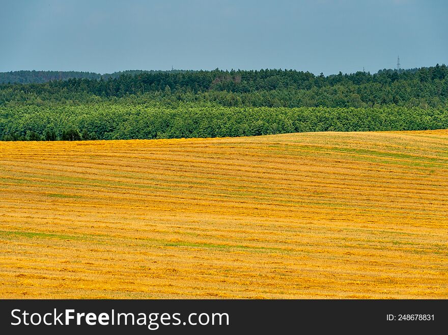 Agro-industrial complex for the cultivation of cereals, wheat, rye, corn and barley. The use of low-quality and non-natural fertilizers for the sowing campaign. Poor harvest and the threat of famine