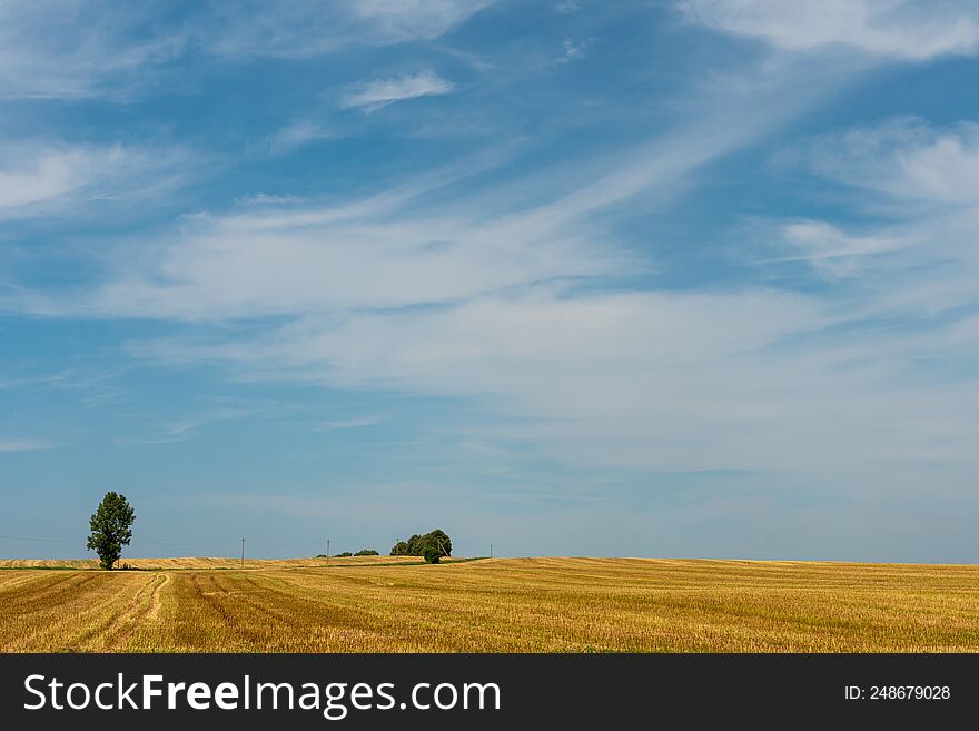 Agro-industrial complex for the cultivation of cereals, wheat, rye, corn and barley. The use of low-quality and non-natural fertilizers for the sowing campaign. Poor harvest and the threat of famine