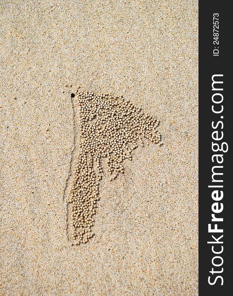 Background of beach crab markings and ripple pattern sand