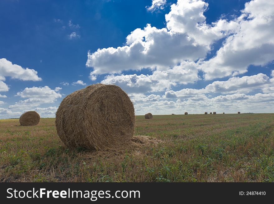 Portrait of a beautiful rural landscape - rolls of hay on the field, cloudy sky and a wonderful horizon. Portrait of a beautiful rural landscape - rolls of hay on the field, cloudy sky and a wonderful horizon