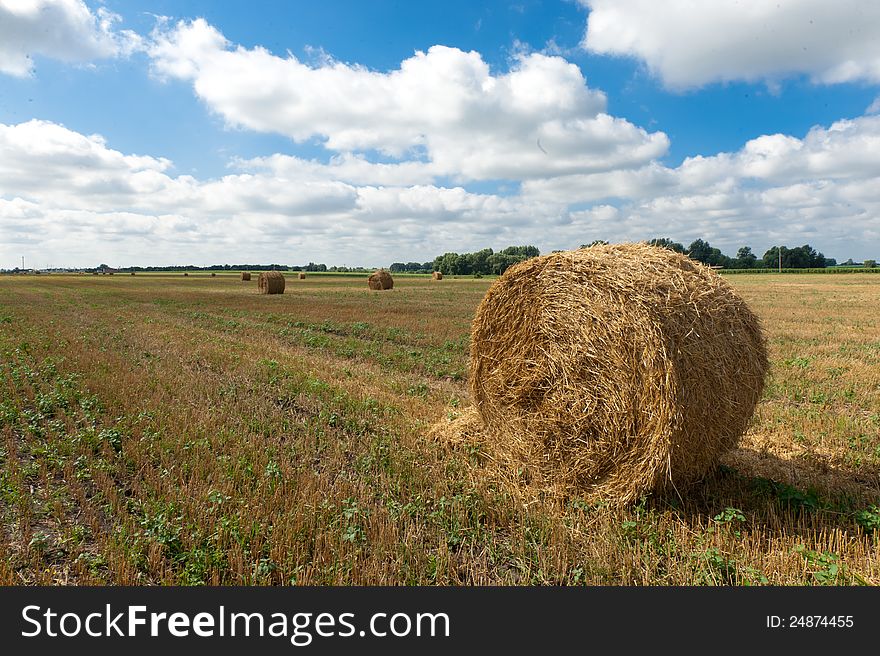 Photo of a beautiful rural landscape - rolls of hay on the field, cloudy sky and a wonderful horizon. Photo of a beautiful rural landscape - rolls of hay on the field, cloudy sky and a wonderful horizon