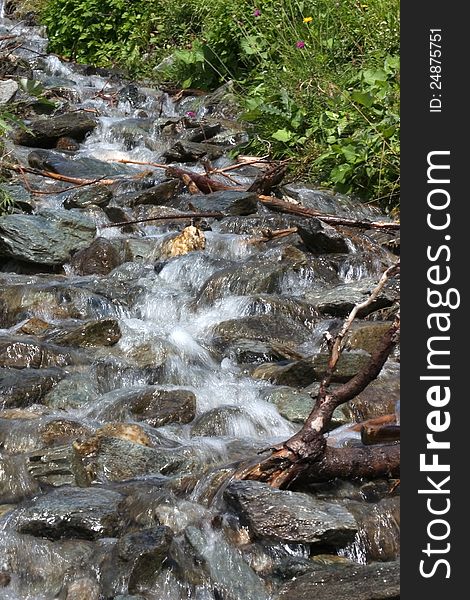 Small creek runs through a mountain meadow. Small creek runs through a mountain meadow