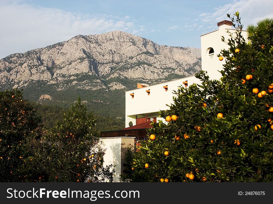 House in Kemer (Turkey) with orange trees. House in Kemer (Turkey) with orange trees