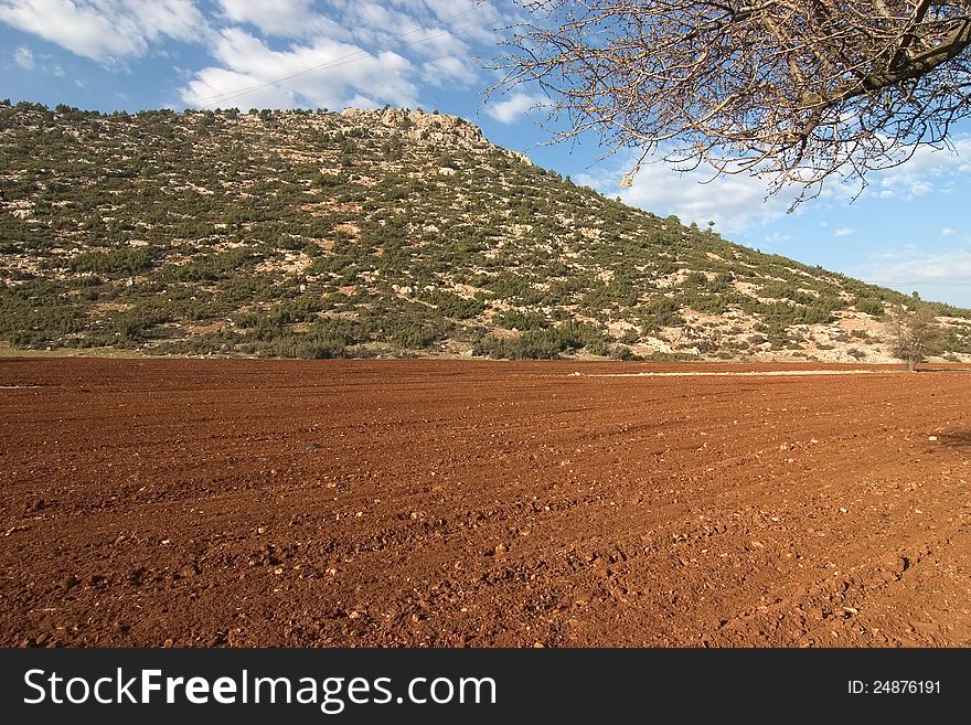 A red field in front of a mountain in Turkey. A red field in front of a mountain in Turkey