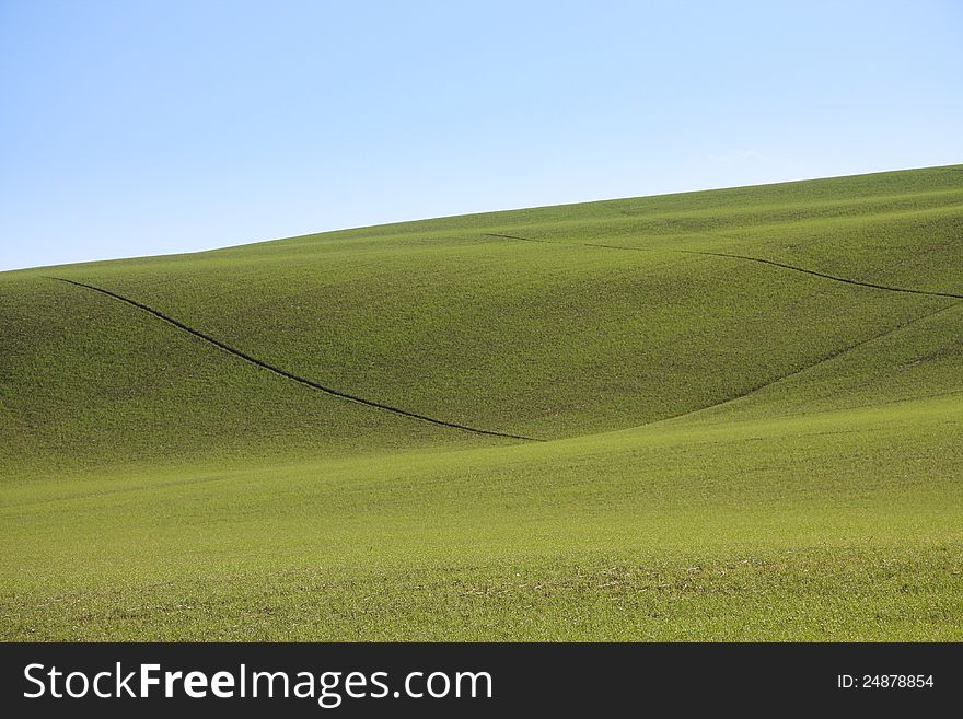 Agricultural land in val of Recanati. Marche region, Italy