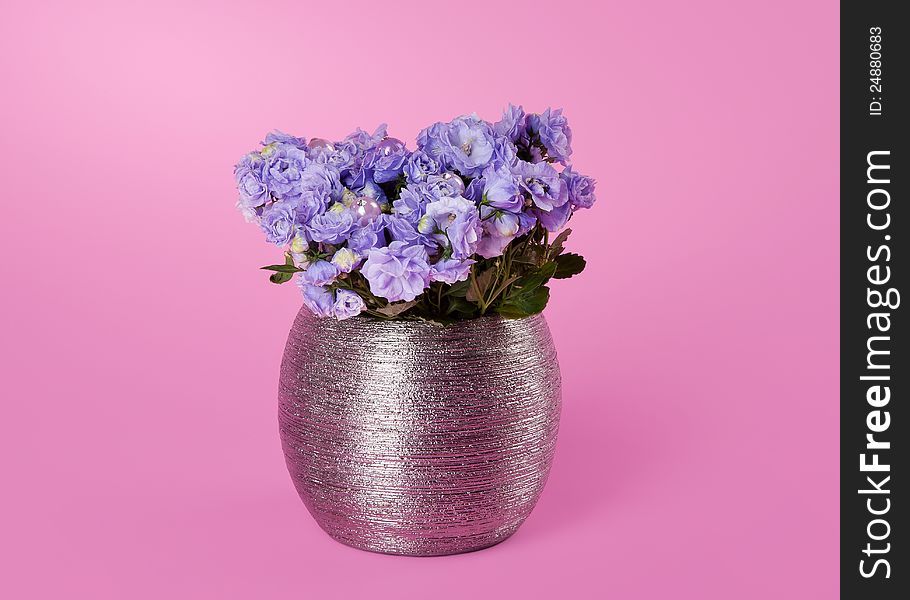 Bunch of flowers on pink background