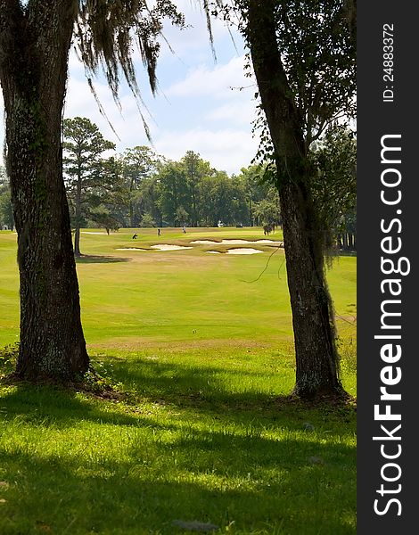 Looking out over the fairway and bunkers on a northern Florida golfcourse. Looking out over the fairway and bunkers on a northern Florida golfcourse