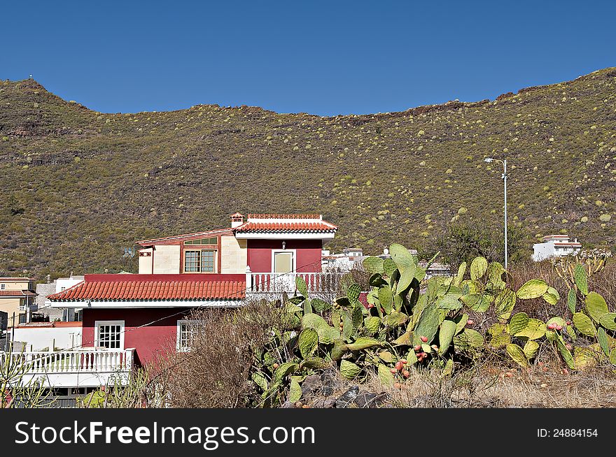 Small house with big cactus in tenerife, Spain. Small house with big cactus in tenerife, Spain