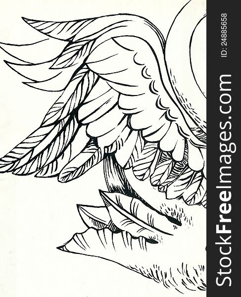 Wing - Angel Wing. Black ink technique. Drawing.