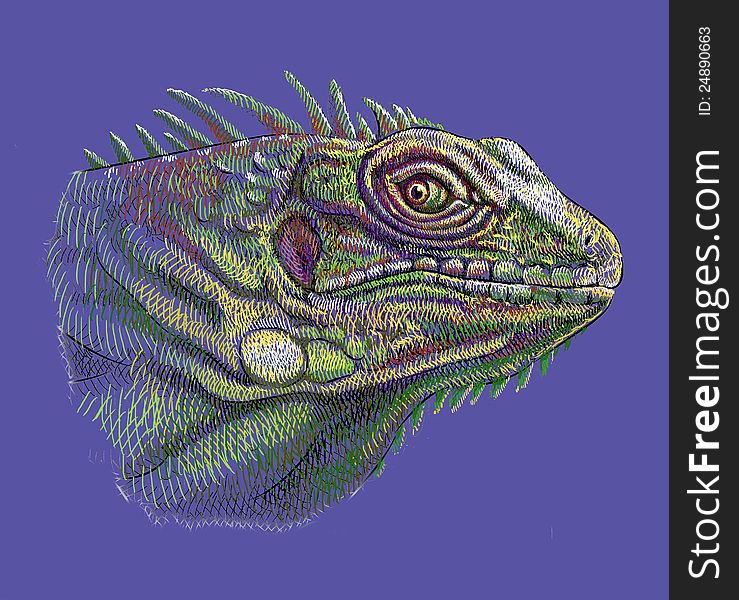 Iguana Head Artistic Drawing