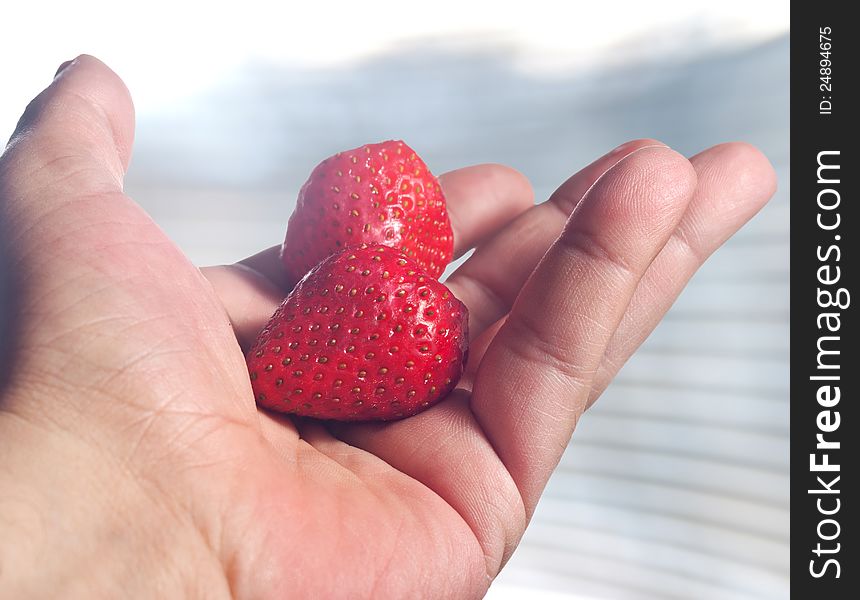 Close up photo of strawberries in hand