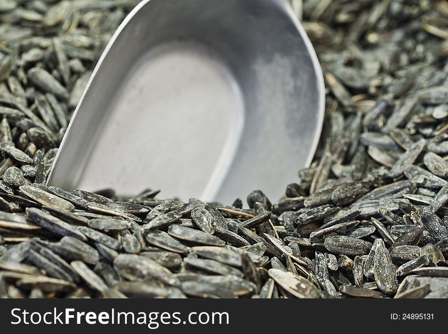 Close up shot of salted sunflower seeds