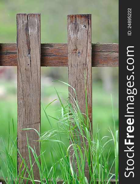 Wooden fence in the tall grass