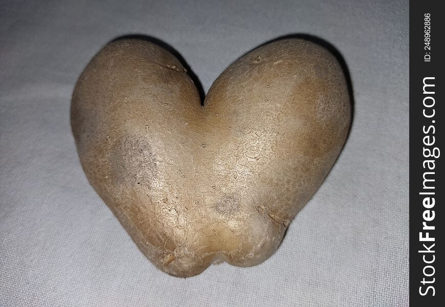 A rare heart shaped potato on a white background
