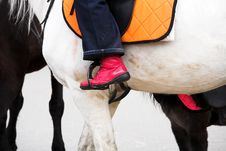 Rider. Stock Image Rider. Stock Image