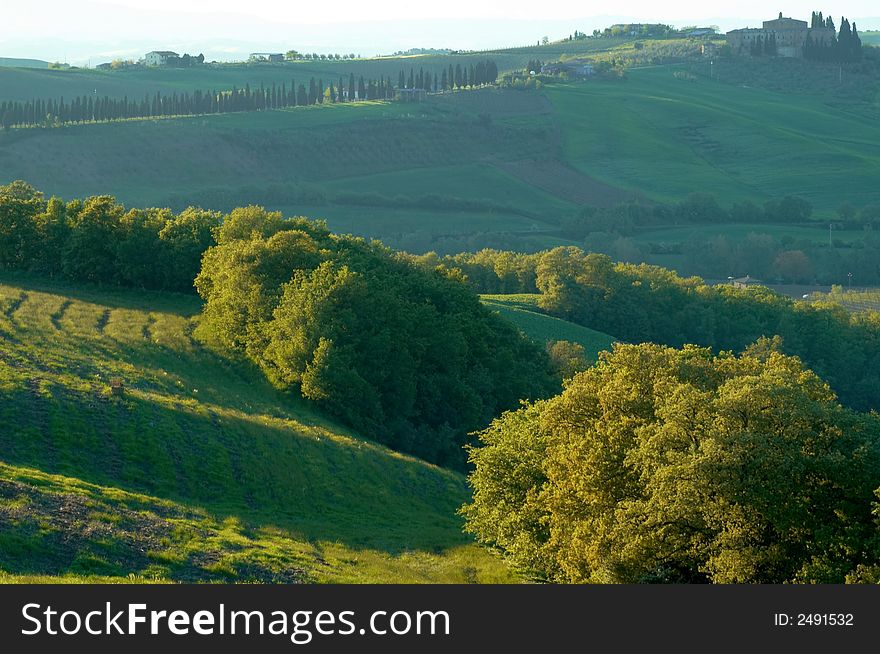 Italian Fields