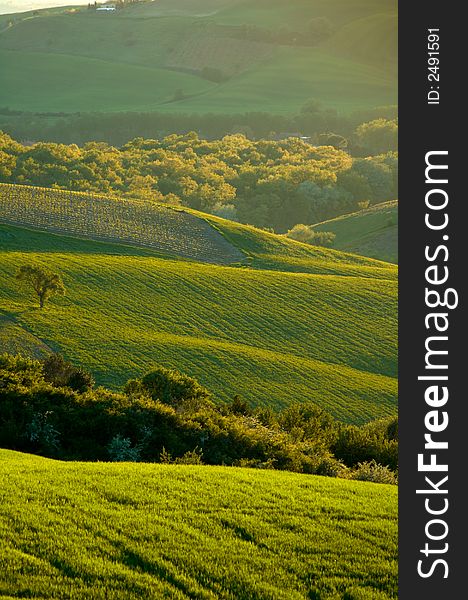 Rural countryside landscape in Tuscany region of Italy. Rural countryside landscape in Tuscany region of Italy.