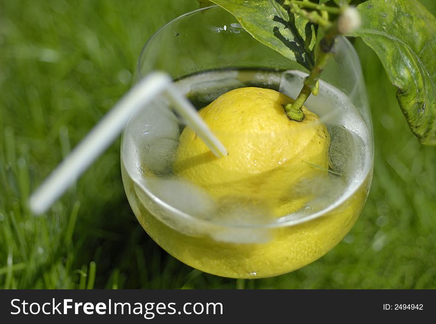 A lemon cocktail in the grass.