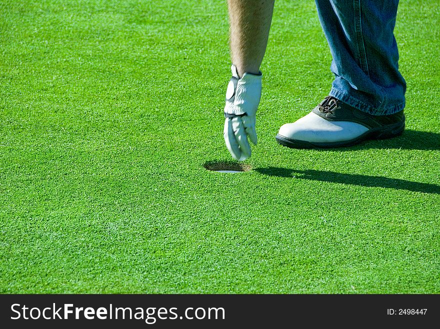 Golfer getting his ball from the hole. Golfer getting his ball from the hole