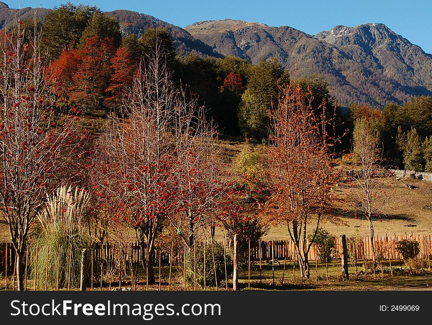 Colors of autumn in Patagonian Landscape near San Martin de los Andes