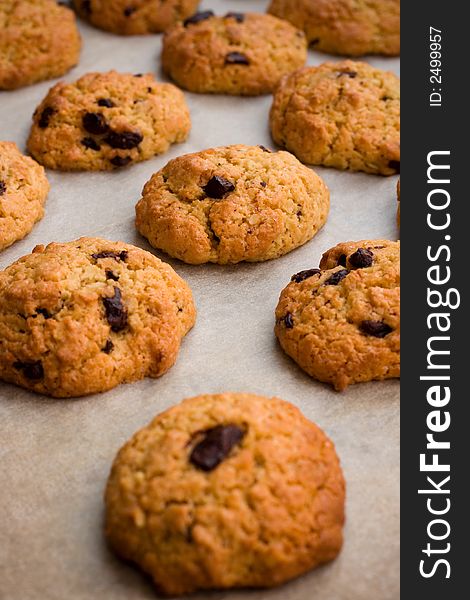 Freshly baked delicious chocolate chip cookies on tray