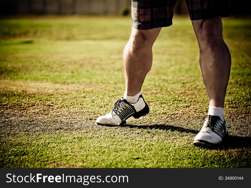 Golfing shoes waiting to be played with. Golfing shoes waiting to be played with.