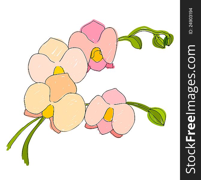 Illustrated cute flowers for your spring design