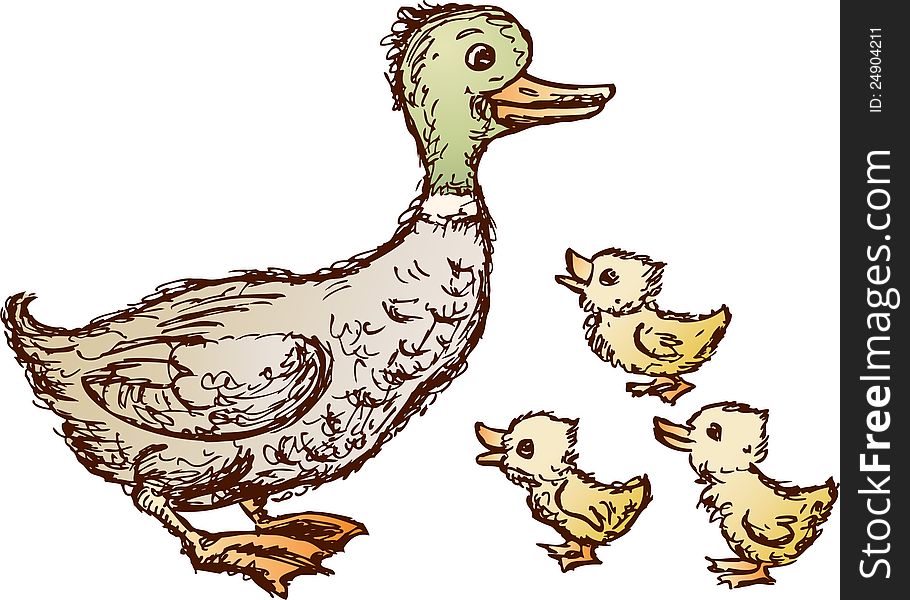 Vector drawing of a duck with a three duckling. Vector drawing of a duck with a three duckling.