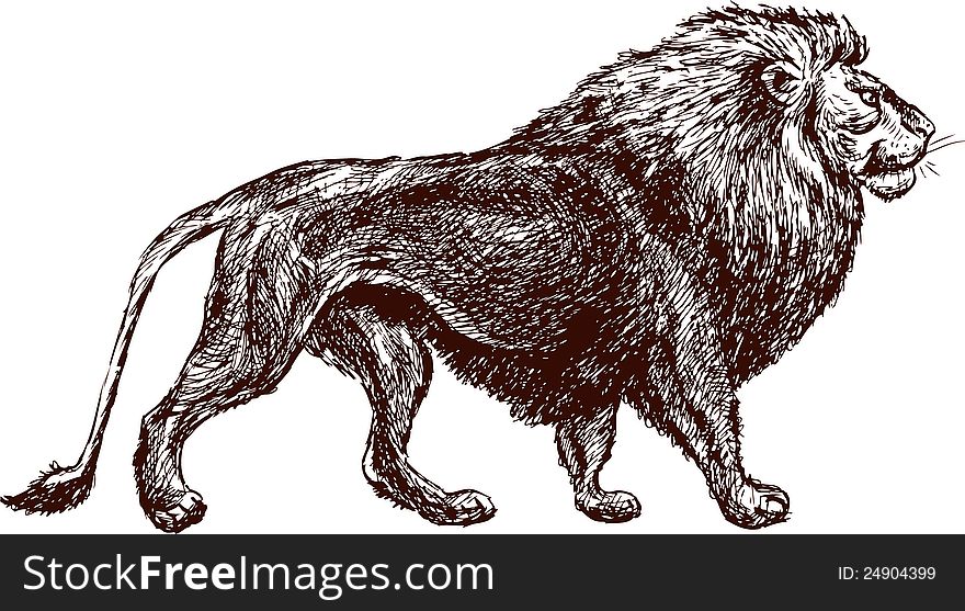 Vector image of a walking lion.